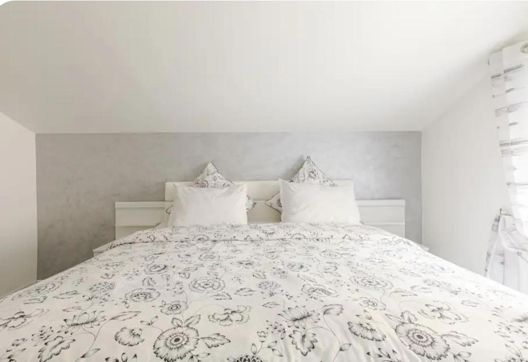 Maisonnette Avec Terrasse Strasbourg Ngoại thất bức ảnh